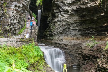 Watkins Glen Eyalet Parkı, New York