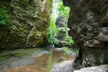 Watkins Glen Eyalet Parkı, New York