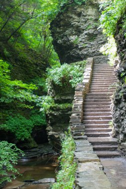 Watkins Glen Eyalet Parkı, New York