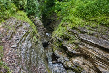 Watkins Glen Eyalet Parkı, New York