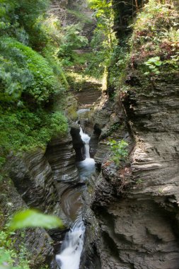 Watkins Glen Eyalet Parkı, New York