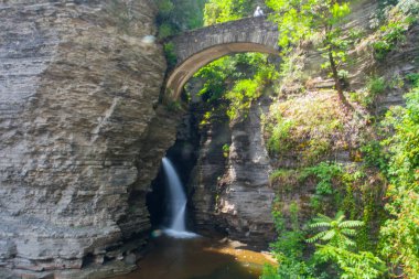 Watkins Glen Eyalet Parkı, New York
