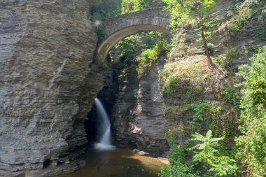 Watkins Glen Eyalet Parkı, New York