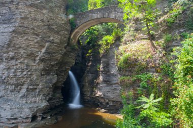 Watkins Glen Eyalet Parkı, New York
