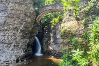 Watkins Glen Eyalet Parkı, New York