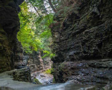 Watkins Glen Eyalet Parkı, New York