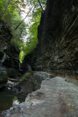 Watkins Glen Eyalet Parkı, New York