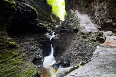 Watkins Glen Eyalet Parkı, New York