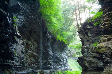 Watkins Glen Eyalet Parkı, New York