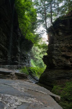 Watkins Glen Eyalet Parkı, New York