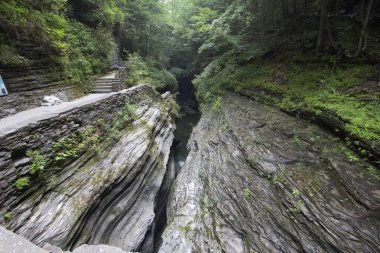 Watkins Glen Eyalet Parkı, New York