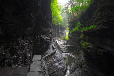 Watkins Glen Eyalet Parkı, New York