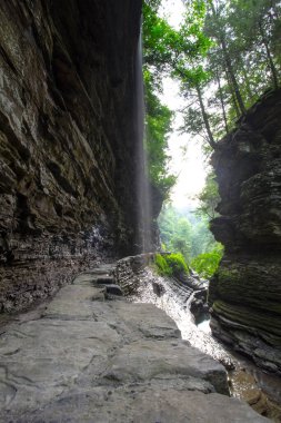 Watkins Glen Eyalet Parkı, New York