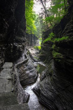 Watkins Glen Eyalet Parkı, New York