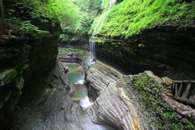 Watkins Glen Eyalet Parkı, New York