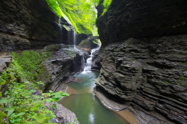 Watkins Glen Eyalet Parkı, New York