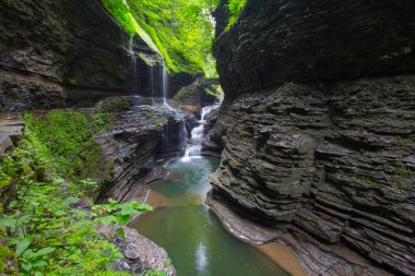 Watkins Glen Eyalet Parkı, New York
