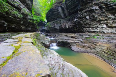 Watkins Glen Eyalet Parkı, New York