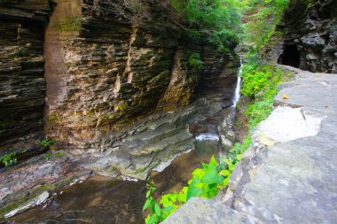Watkins Glen Eyalet Parkı, New York