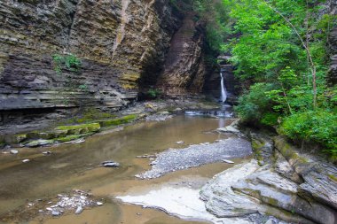 Watkins Glen Eyalet Parkı, New York