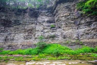 Watkins Glen Eyalet Parkı, New York