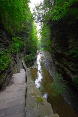 Watkins Glen Eyalet Parkı, New York