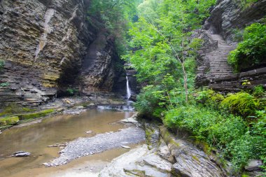 Watkins Glen Eyalet Parkı, New York