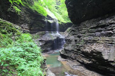 Watkins Glen Eyalet Parkı, New York