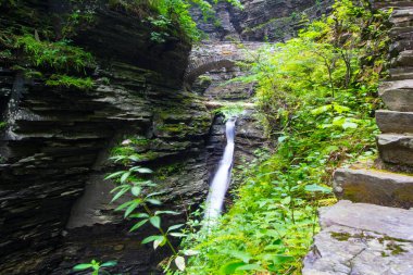 Watkins Glen Eyalet Parkı, New York