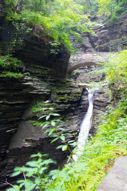 Watkins Glen Eyalet Parkı, New York