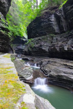 Watkins Glen Eyalet Parkı, New York