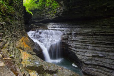 Watkins Glen Eyalet Parkı, New York