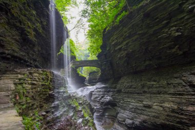 Watkins Glen Eyalet Parkı, New York