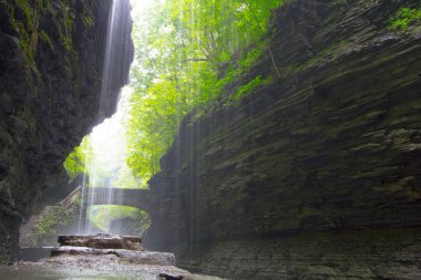 Watkins Glen Eyalet Parkı, New York