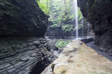 Watkins Glen Eyalet Parkı, New York