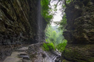 Watkins Glen Eyalet Parkı, New York