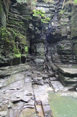 Watkins Glen Eyalet Parkı, New York