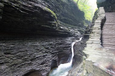 Watkins Glen Eyalet Parkı, New York