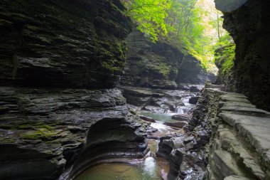 Watkins Glen Eyalet Parkı, New York