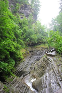 Watkins Glen Eyalet Parkı, New York