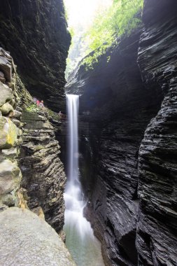Watkins Glen Eyalet Parkı, New York