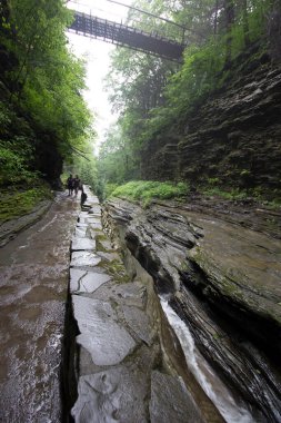 Watkins Glen Eyalet Parkı, New York