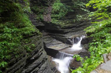Watkins Glen Eyalet Parkı, New York