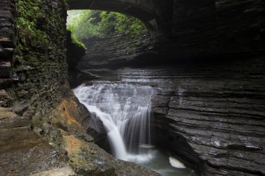 Watkins Glen Eyalet Parkı, New York
