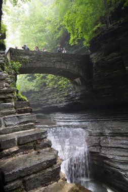 Watkins Glen Eyalet Parkı, New York