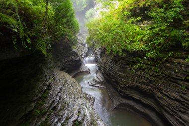 Watkins Glen Eyalet Parkı, New York