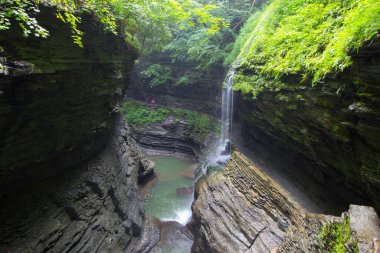 Watkins Glen Eyalet Parkı, New York