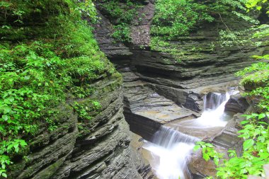 Watkins Glen Eyalet Parkı, New York