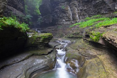 Watkins Glen Eyalet Parkı, New York