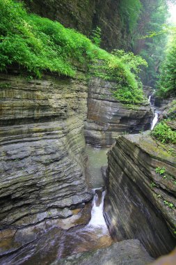 Watkins Glen Eyalet Parkı, New York